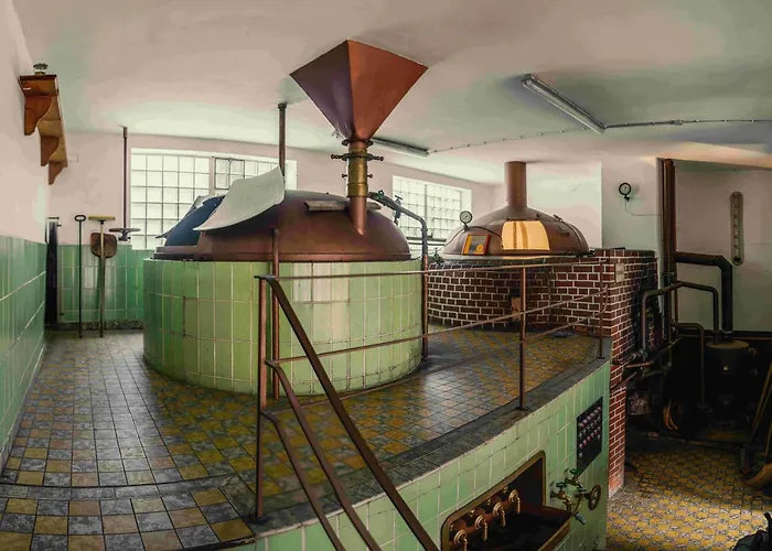 Отель Brauerei Hoehn 3*
