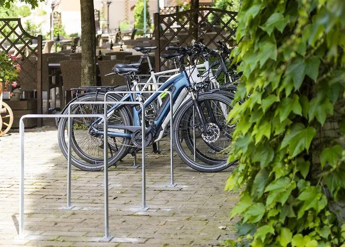 Hotel Brauerei Hoehn 3*